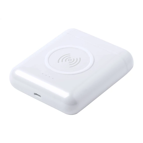 Repte power bank
