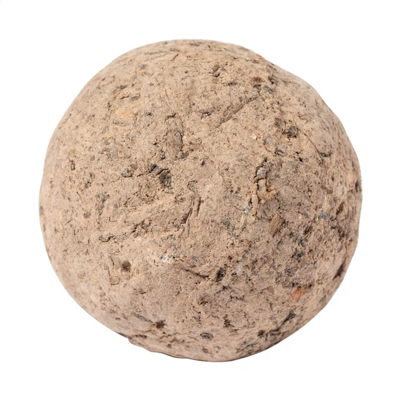 Flobba maggolyó