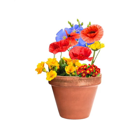 Flobba maggolyó