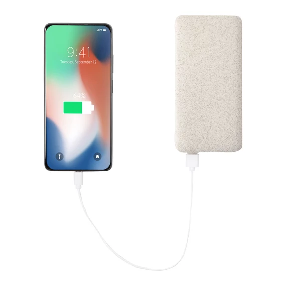 Surum XL power bank