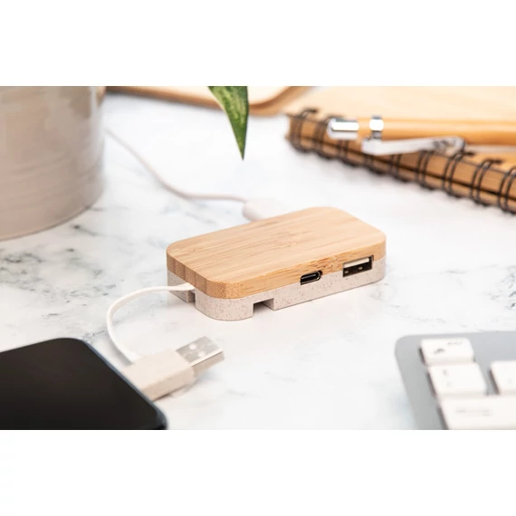 Holbaru USB hub