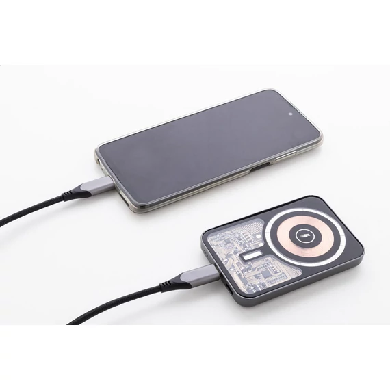 RaluSee power bank
